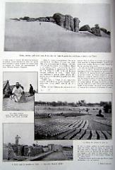 Illustration 1934- 078